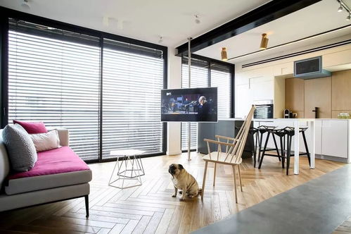 打破視覺壁壘 巧拆電視背景墻，實現客廳擴容與空間美學重構