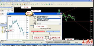 上海弘冠投資管理 黃金投資與中正金產品解析